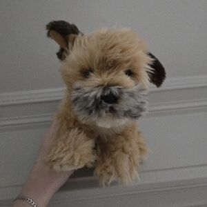 Webkinz Signature Border Terrier